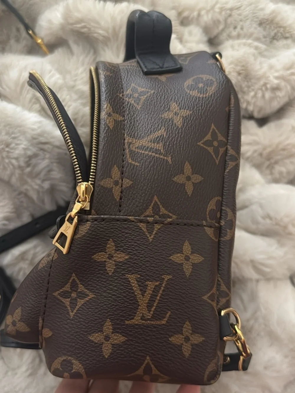 Louis Vuitton Monogram Mini Palm Springs Backpack - Brown & Black